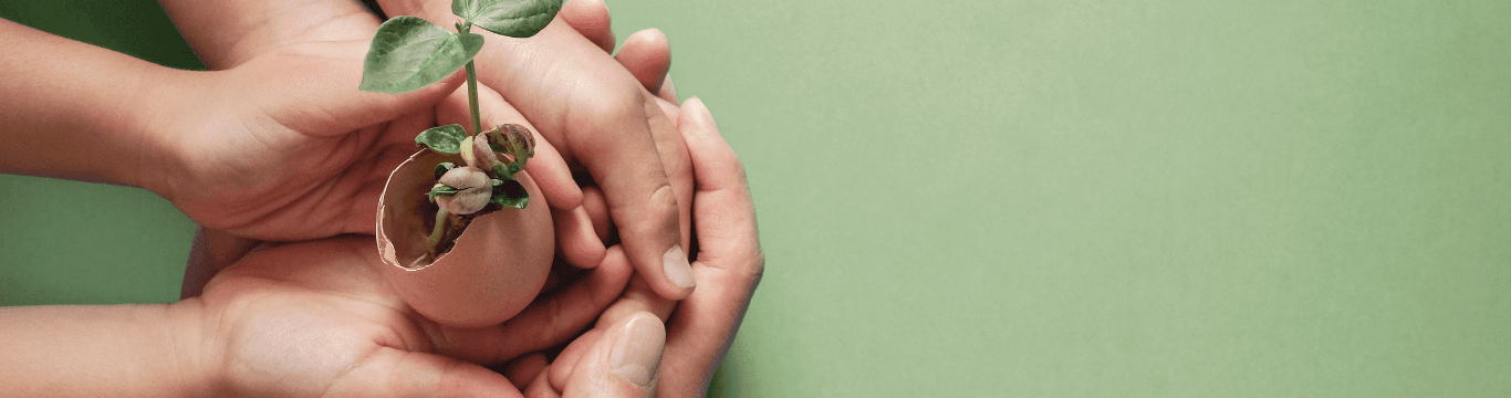 חיבור וקשר לקהילה