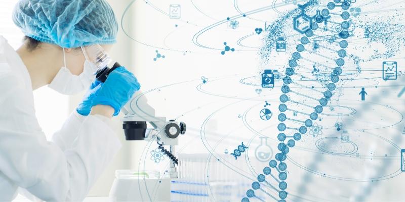 גנטיקה נשית 