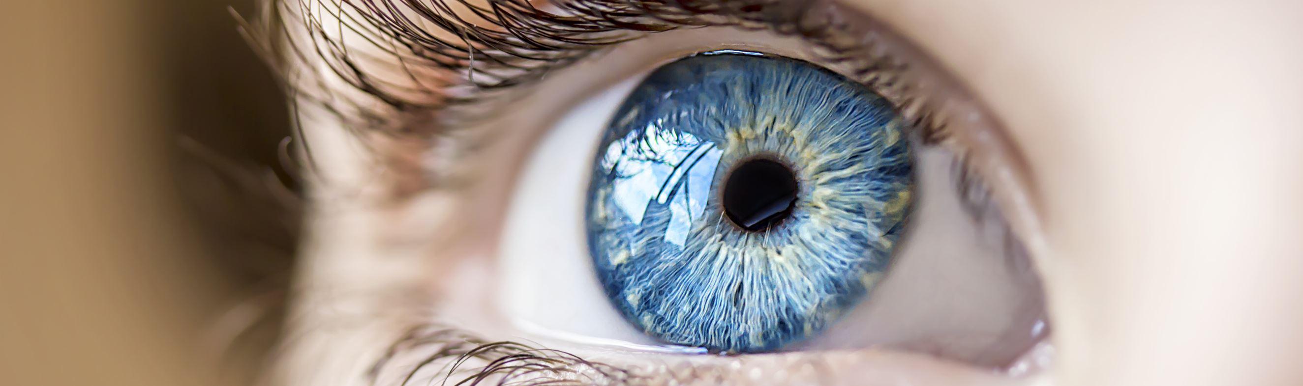 יום הראייה הבינלאומי